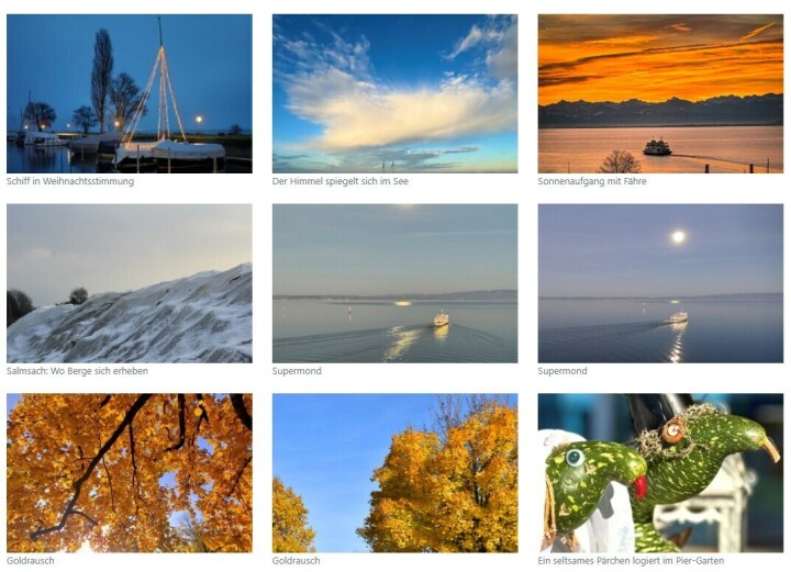 Noch bis zum 28. Februar 2026 können «Seeblick»-Leserinnen und -Leser das Foto des Jahres 2025 küren. Screenshot Redaktion