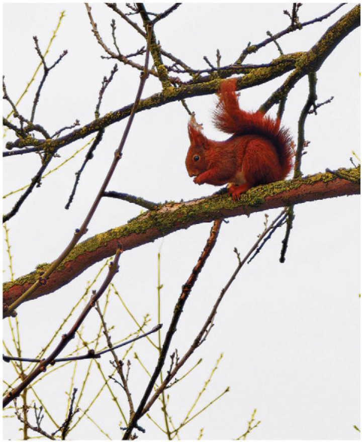 Leserinnenfoto von Noemi Reisch