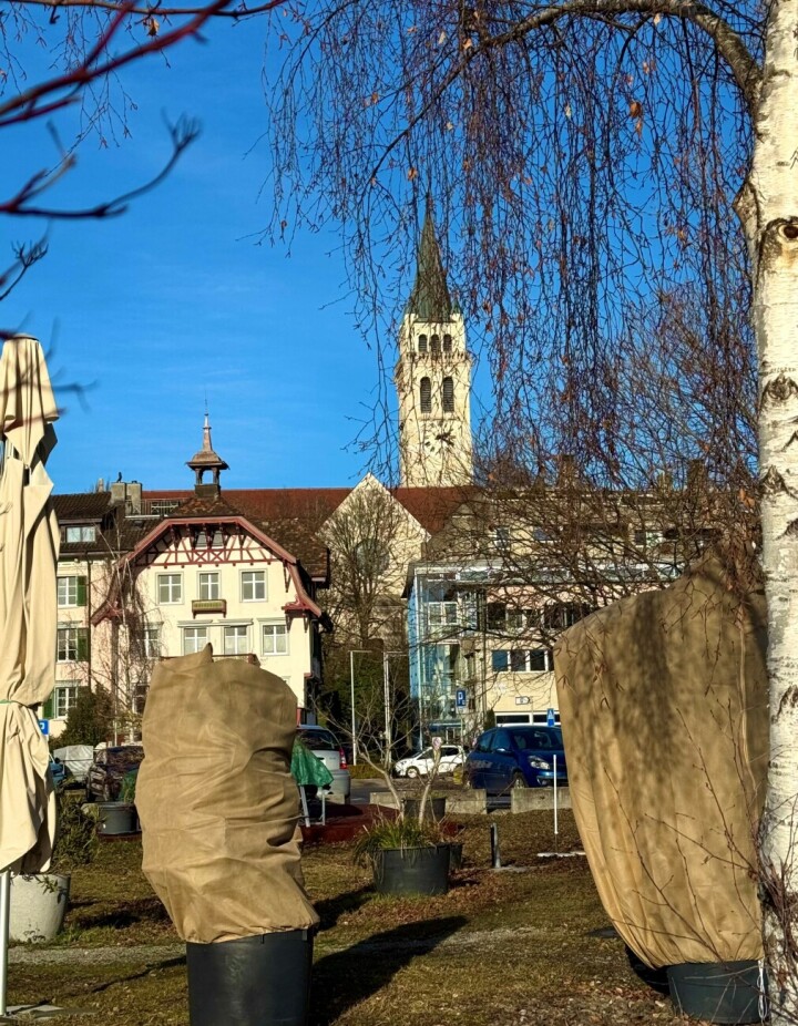 Leserfoto: Ruedi Dubs / 9 / 2026