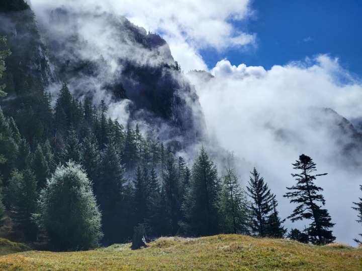 Auch 2025 werden wieder Freiwillige gesucht, die in Projektwochen aktiv zum Erhalt des Bergwaldes beitragen möchten. Fotos: zVg. Bergwaldprojekt