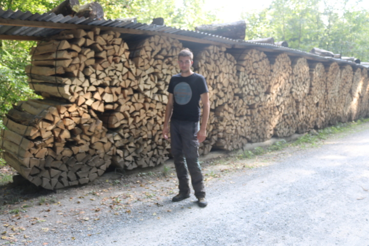 Sie haben viel zu tun im Romanshorner Wald, Benjamin Suter (Bild) und sein Team. Foto: Markus Bösch