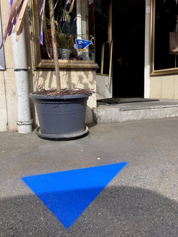 Einfach, aber prägnant sind sie: Rund 60 blaue FARO-Bodenelemente führen die Besucherinnen und Besucher der Innenstadt spielerisch zu den Romanshorner Fachgeschäften. Foto: Anita Zech