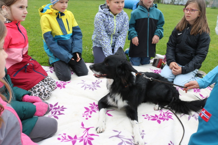 Hundeplausch... Impressionen von Markus Bösch