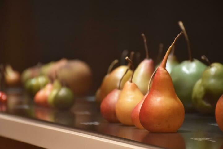 Auch nach 200 Jahren noch frisch: die Wachsfrüchte von Johann Volkmar Sickler. Foto: Naturmuseum Thurgau