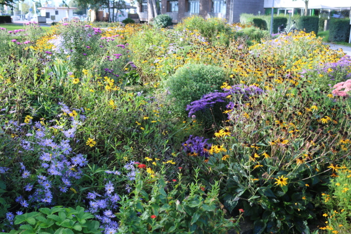 Herbstliche Farbenpracht. Fotos: Markus Bösch
