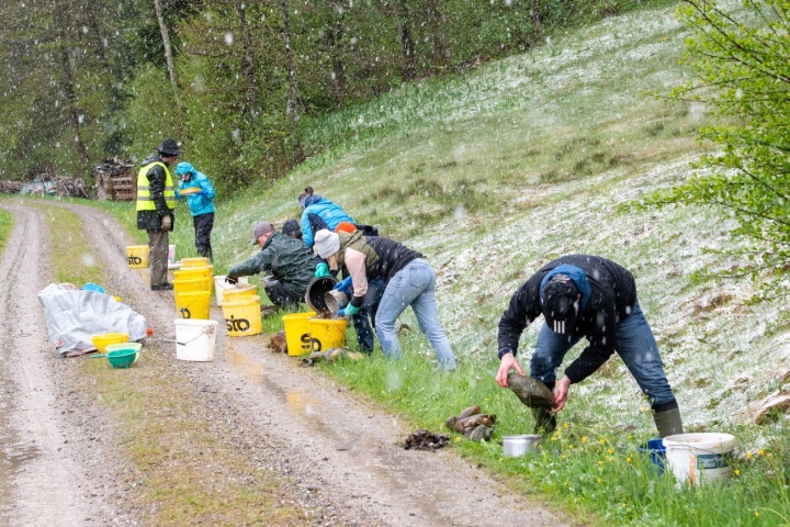 TKB-Mitarbeitende haben in Oberwangen bei Fischingen Laichgewässer von elf Amphibien- und Reptilienarten gepflegt und so den lokalen Naturschutzverein unterstützt. Foto: zVg. TKB