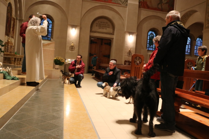 Für einmal waren es Hunde, die (am Samstagabend) zusammen mit den Gottesdienstbesuchern einen Segen zugesprochen erhielten. Fotos: Markus Bösch