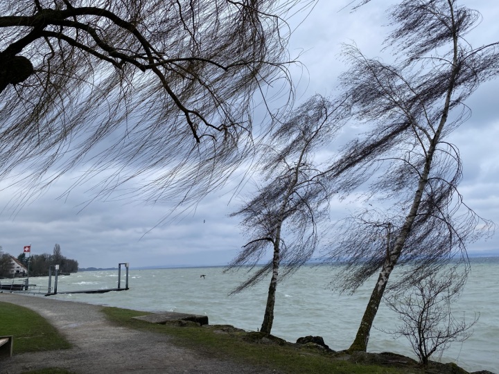 Leserfoto: Ursi Marthy / 3 /2024