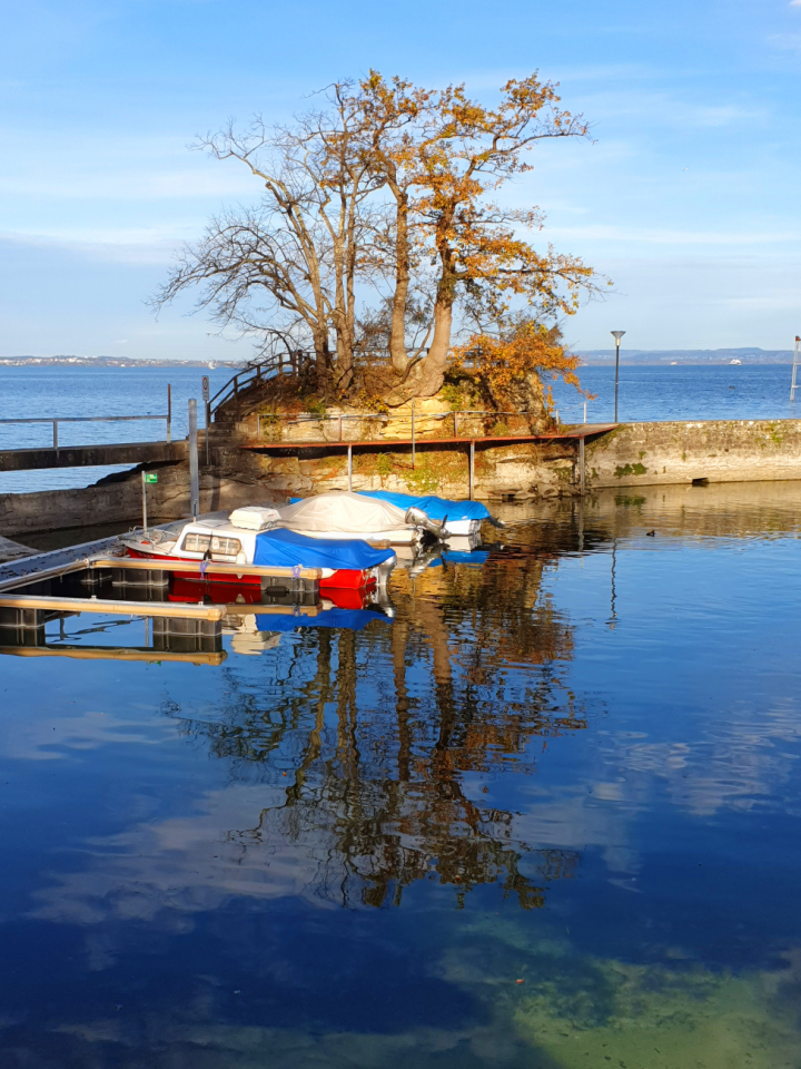 Leserfoto: Hansjürg Oesch / 108/ 2022