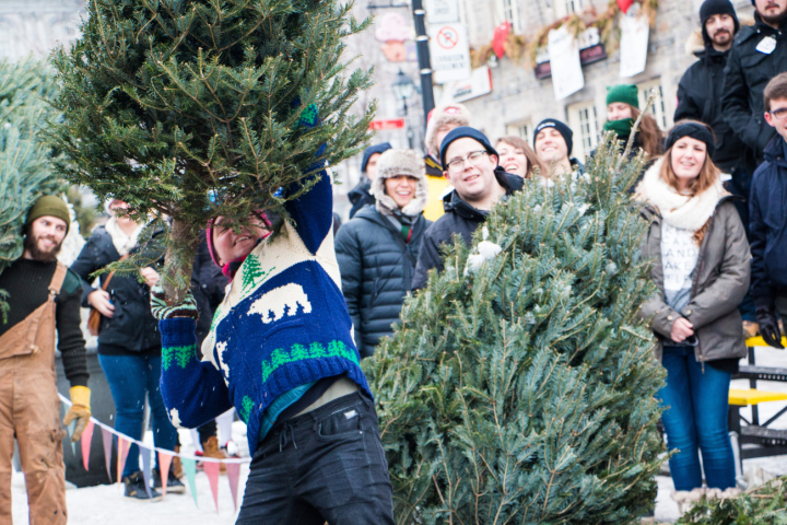 Das Romanshorner Christbaumwefen ist inspiriert von nordischen Weihnachtsbräuchen. Foto: Symbolbild Shutterstock