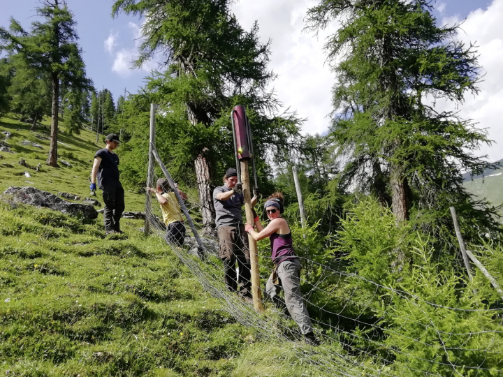 Freiwillig einen Beitrag leisten in den Bergwäldern und der Kulturlandschaft der Schweiz. Für die Zukunft. Fotos: Bergwaldprojekt