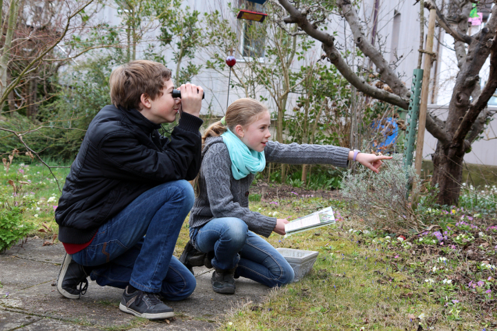 Mitmachen an der Stunde der Gartenvögel macht grossen Spass. Foto: Daniela Pauli/BirdLife Schweiz