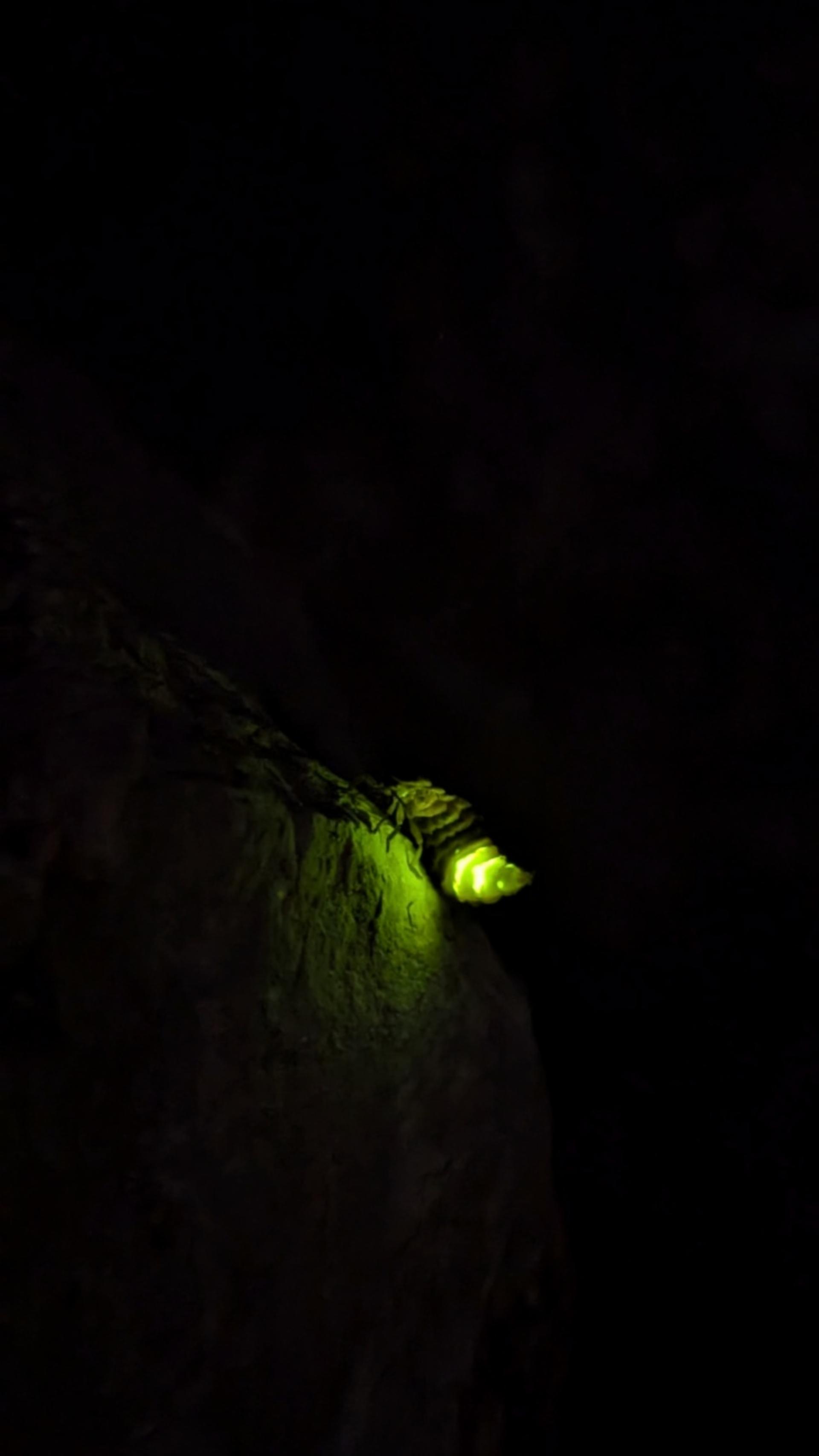 Aktion «Lebendige Nacht» - Das Bild wird blockiert. – Möglicherweise durch einen aktiven Adblocker.