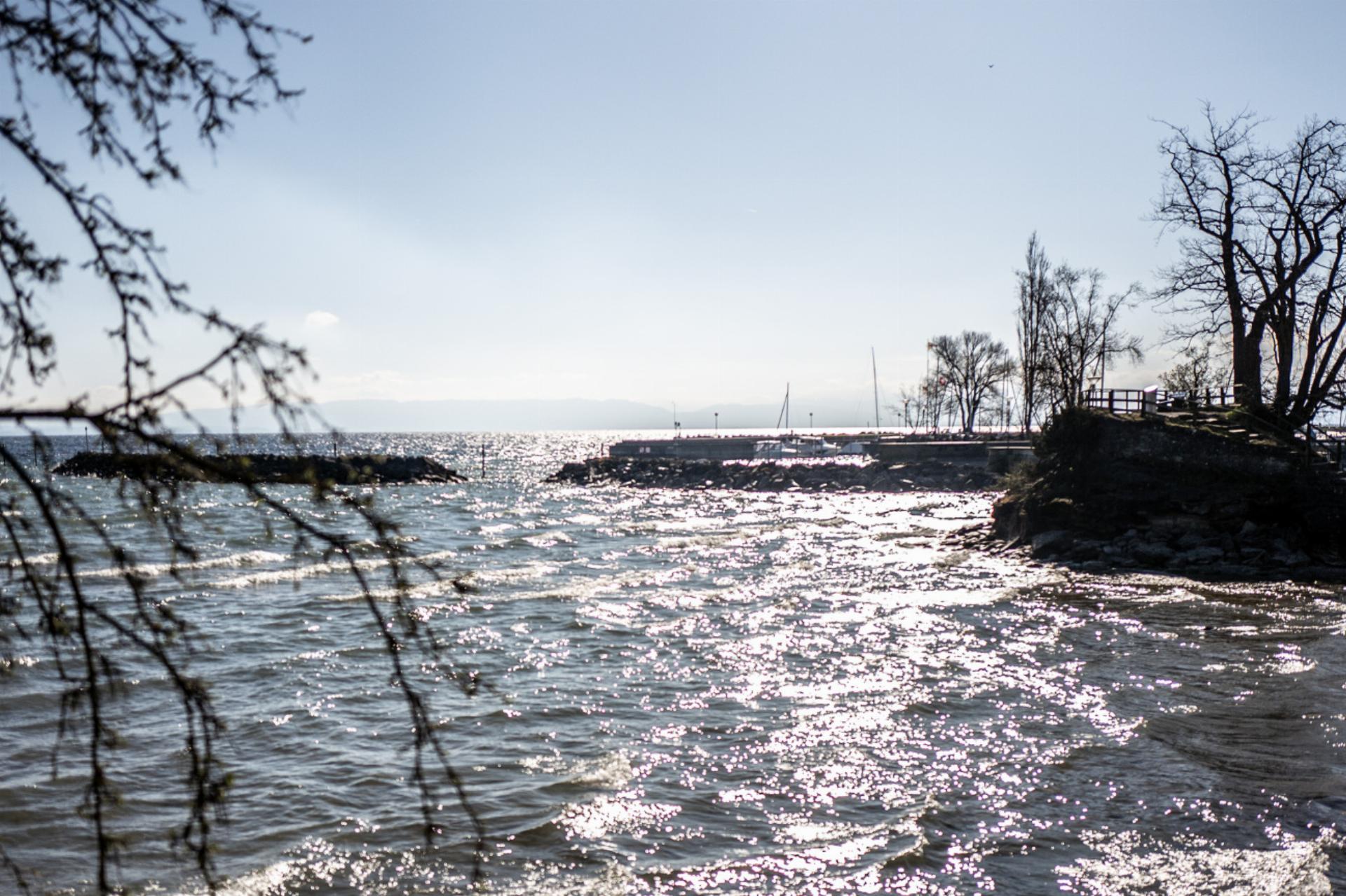 Abschlussbericht Seewärme-Projekt liegt vor - Das Bild wird blockiert. – Möglicherweise durch einen aktiven Adblocker.