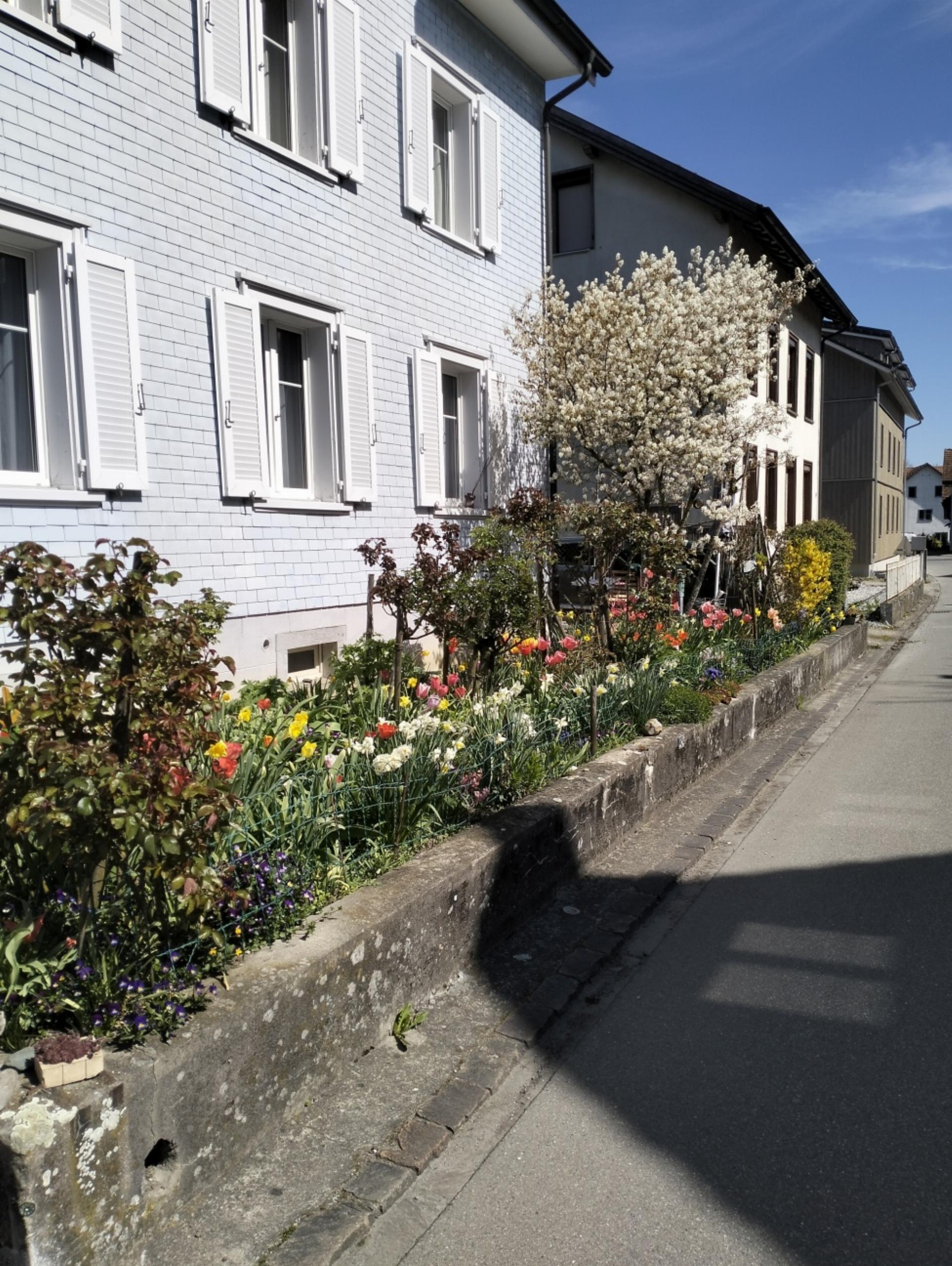 Blühender Garten an der Kirchstrasse - Das Bild wird blockiert. – Möglicherweise durch einen aktiven Adblocker.