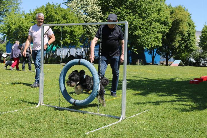 Foto: Markus Bösch