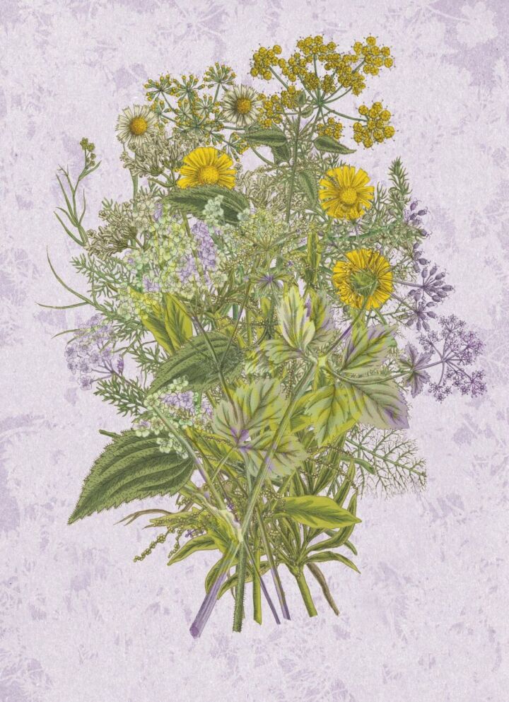 Strauss mit Medizinalpflanzen, Gestaltung. Foto: zVg. Naturmuseum Thurgau 