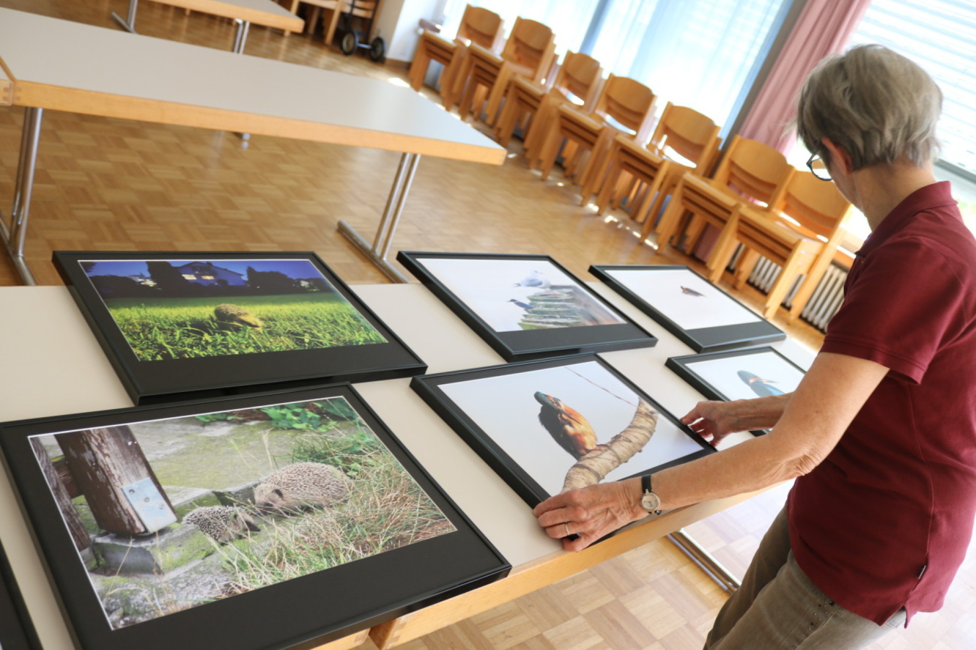 Fotos zeigen Vielfalt der Natur - Das Bild wird blockiert. – Möglicherweise durch einen aktiven Adblocker.
