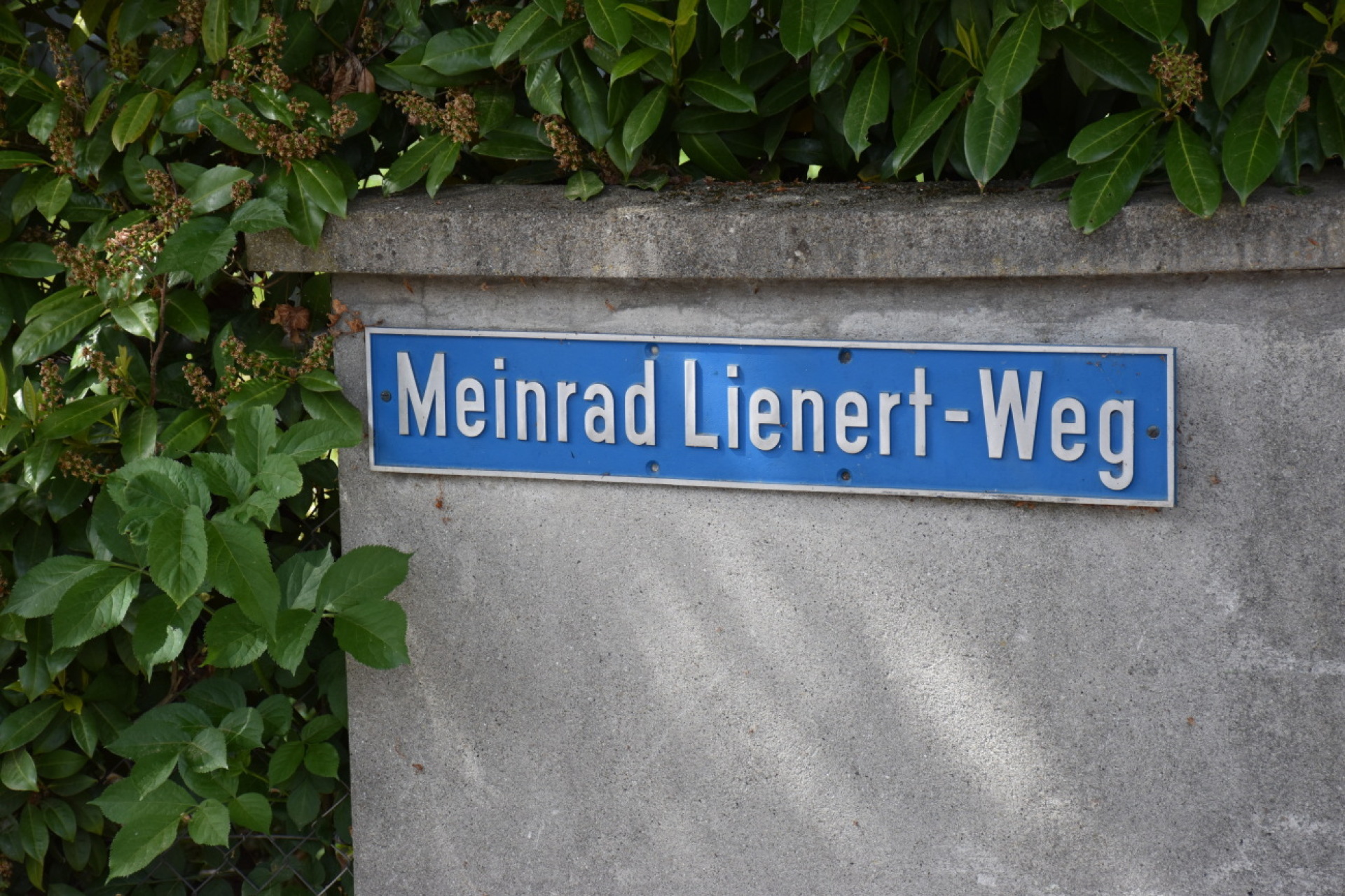 «Seeblick»-Sommerserie − Der Meinrad-Lienert-Weg