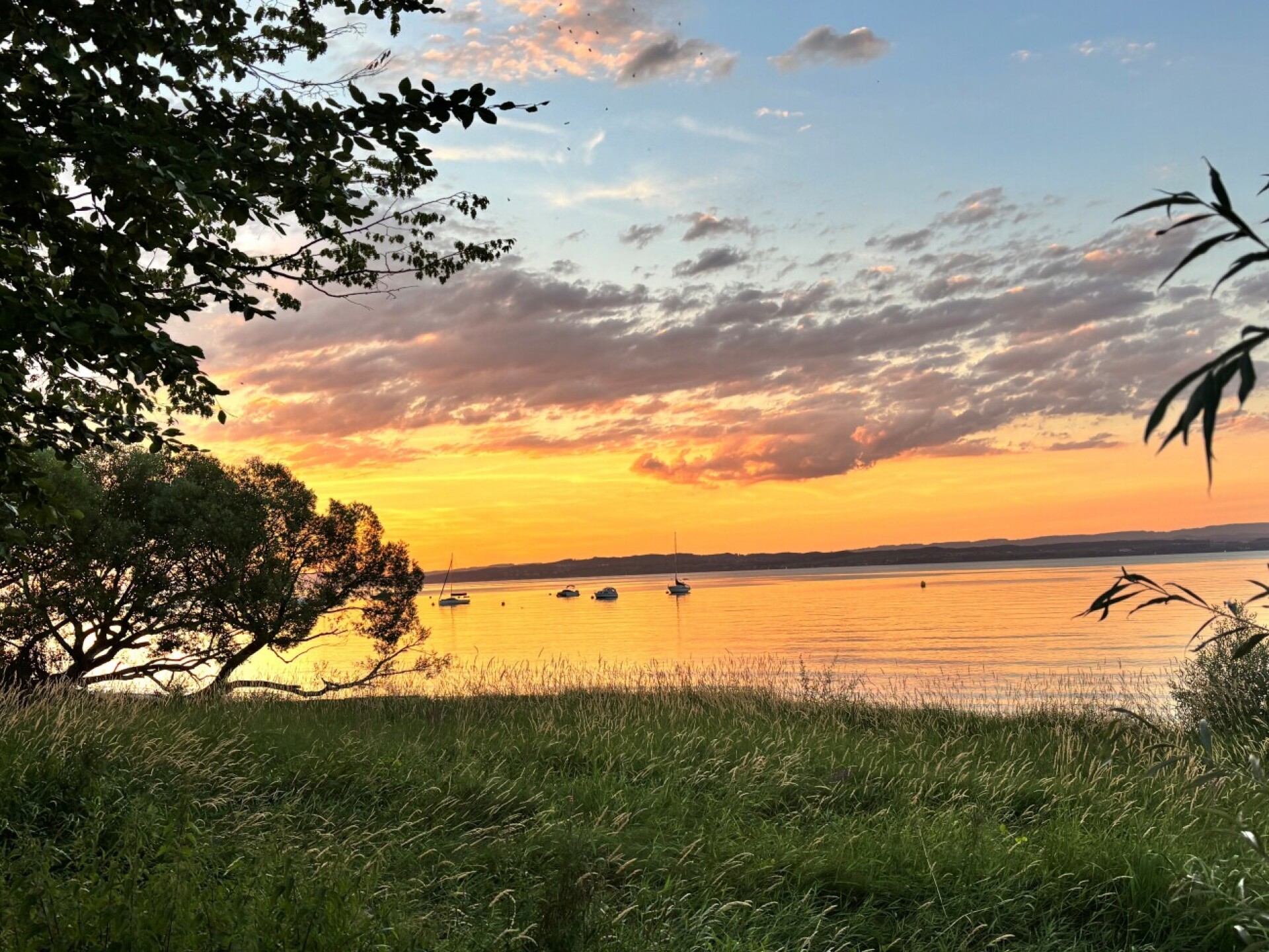 Wenn die Sonne am Abend den See in Gold taucht