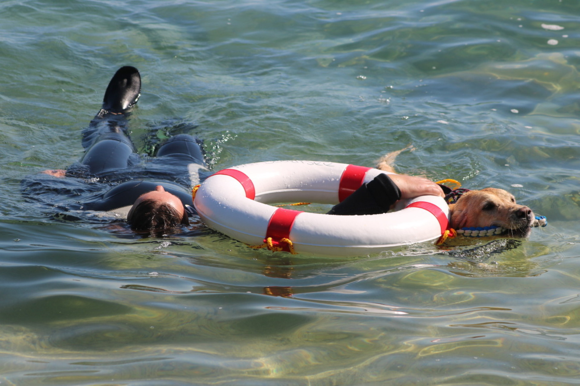 Ins Wasser mit Arbeitslust – und Vergnügen