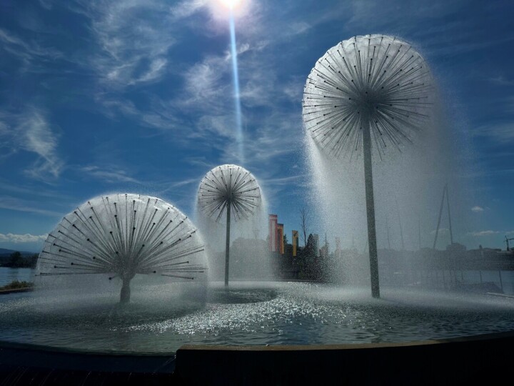 Leserfoto: Ruedi Dubs / 41 / 2026